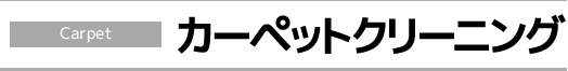 カーペットクリーニング