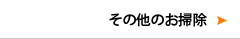 その他のお掃除